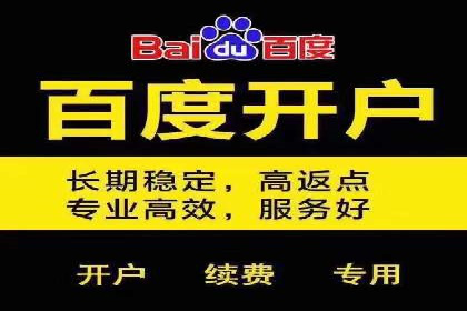 案例剖析：SEM竞价助力品牌建设